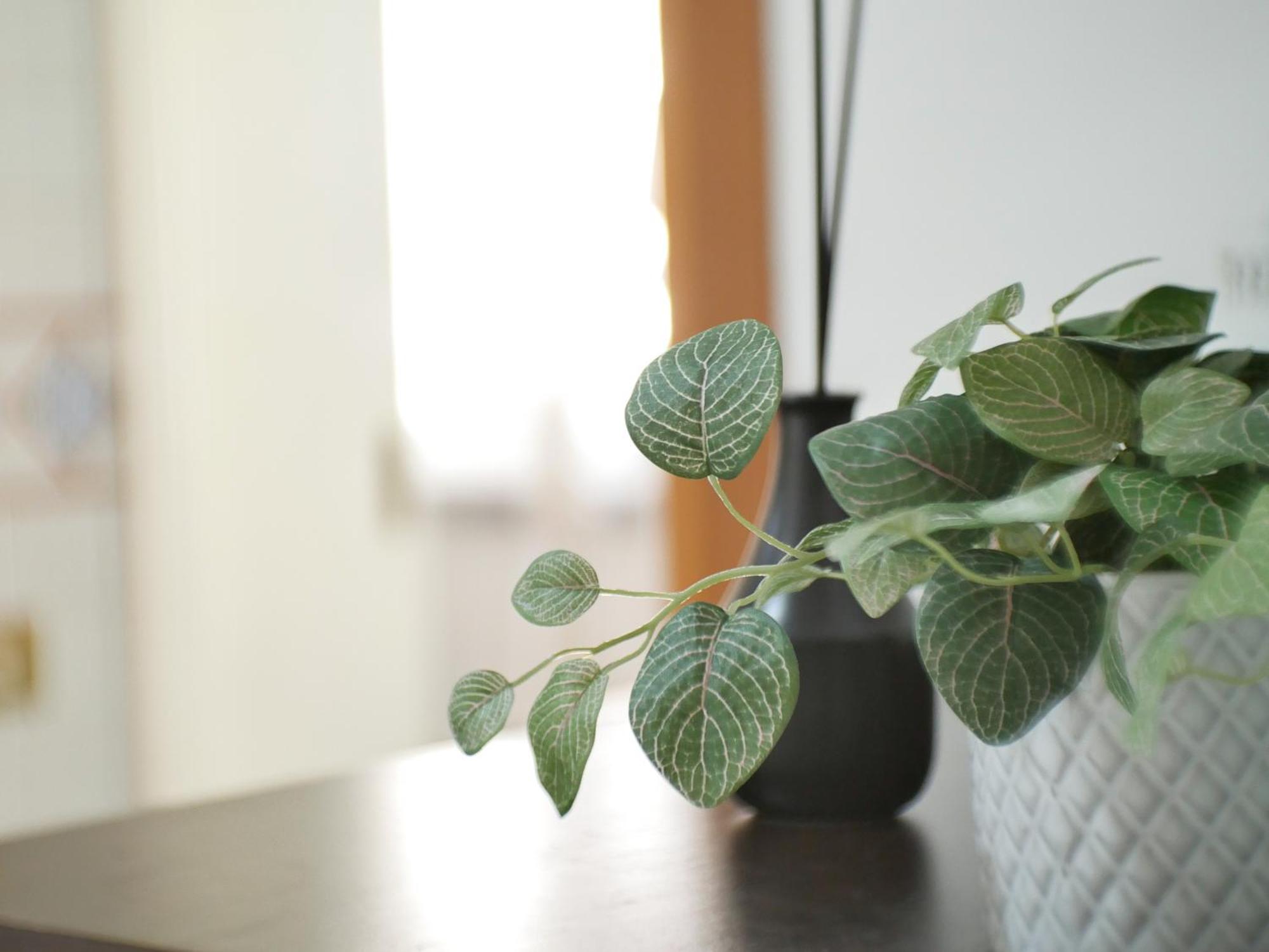 Modern 1 Bedroom Near Metro Roma Ngoại thất bức ảnh