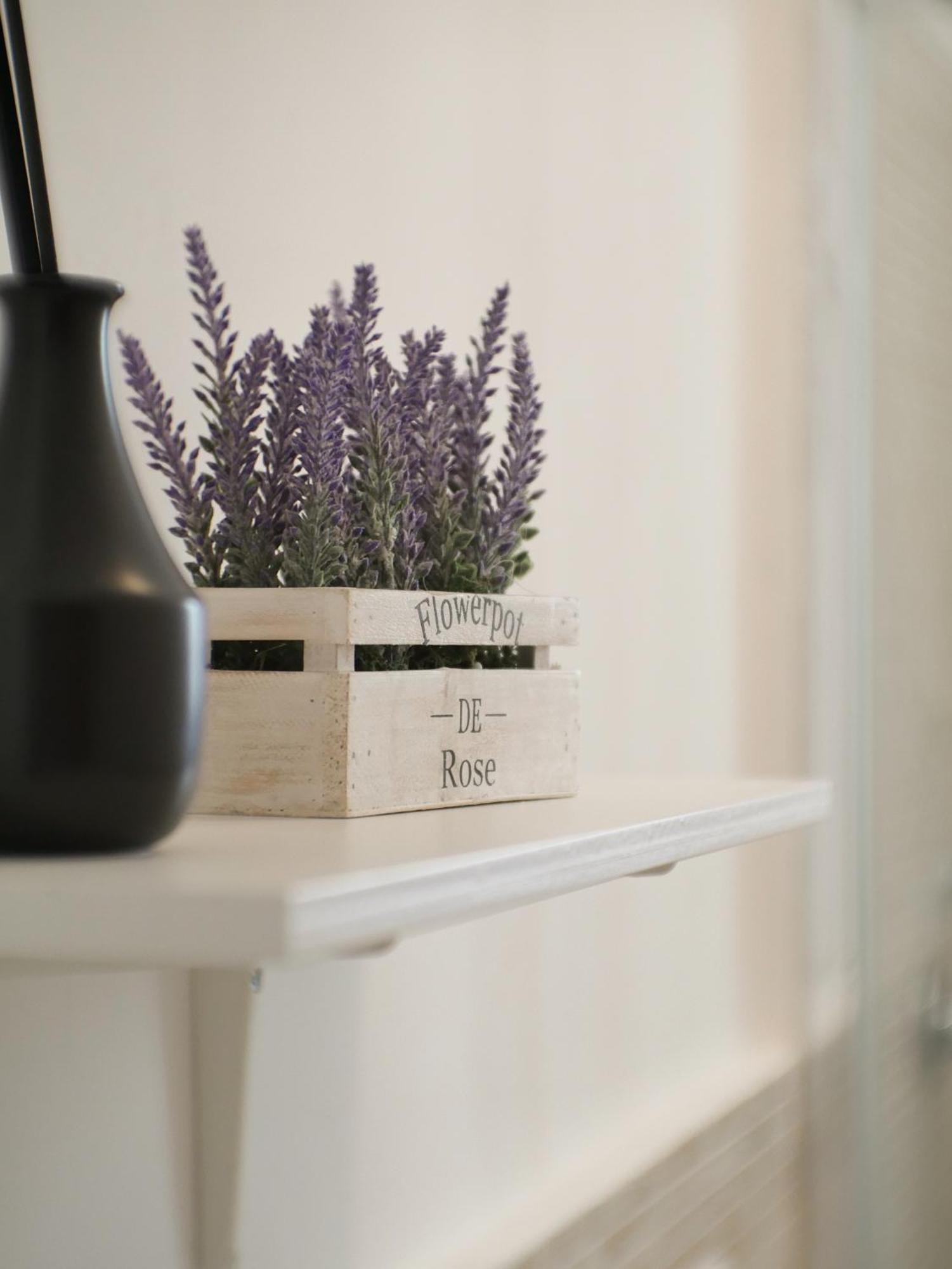 Modern 1 Bedroom Near Metro Roma Ngoại thất bức ảnh